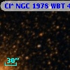 Cl* NGC 1978    WBT     486