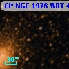Cl* NGC 1978    WBT     488