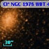 Cl* NGC 1978    WBT     489