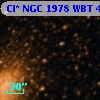 Cl* NGC 1978    WBT     490