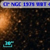 Cl* NGC 1978    WBT     492