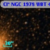 Cl* NGC 1978    WBT     493