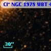 Cl* NGC 1978    WBT     496