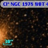 Cl* NGC 1978    WBT     499
