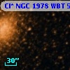 Cl* NGC 1978    WBT     501