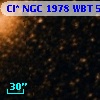 Cl* NGC 1978    WBT     502