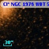 Cl* NGC 1978    WBT     503