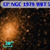Cl* NGC 1978    WBT     505