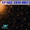 Cl* NGC 1978    WBT     506