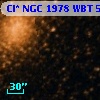 Cl* NGC 1978    WBT     508