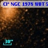 Cl* NGC 1978    WBT     509