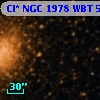 Cl* NGC 1978    WBT     512