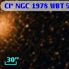 Cl* NGC 1978    WBT     513