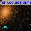 Cl* NGC 1978    WBT     515