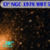 Cl* NGC 1978    WBT     517