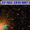 Cl* NGC 1978    WBT     519