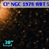 Cl* NGC 1978    WBT     520
