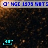 Cl* NGC 1978    WBT     523