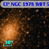 Cl* NGC 1978    WBT     525