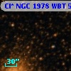 Cl* NGC 1978    WBT     529