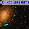 Cl* NGC 1978    WBT     530