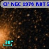 Cl* NGC 1978    WBT     531