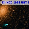Cl* NGC 1978    WBT     533