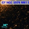 Cl* NGC 1978    WBT     537