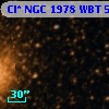 Cl* NGC 1978    WBT     538