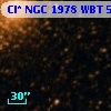 Cl* NGC 1978    WBT     544