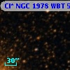 Cl* NGC 1978    WBT     545