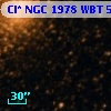 Cl* NGC 1978    WBT     548