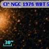 Cl* NGC 1978    WBT     551