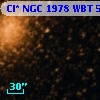 Cl* NGC 1978    WBT     552