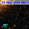Cl* NGC 1978    WBT     556