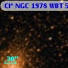 Cl* NGC 1978    WBT     557