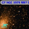 Cl* NGC 1978    WBT     558