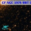 Cl* NGC 1978    WBT     560