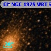 Cl* NGC 1978    WBT     563