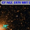 Cl* NGC 1978    WBT     564
