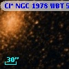 Cl* NGC 1978    WBT     565