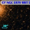 Cl* NGC 1978    WBT     567