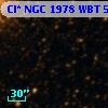 Cl* NGC 1978    WBT     569