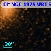 Cl* NGC 1978    WBT     575