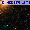 Cl* NGC 1978    WBT     577