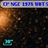 Cl* NGC 1978    WBT     582
