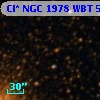 Cl* NGC 1978    WBT     583