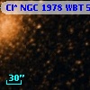 Cl* NGC 1978    WBT     585
