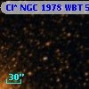 Cl* NGC 1978    WBT     594