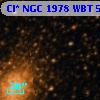 Cl* NGC 1978    WBT     597
